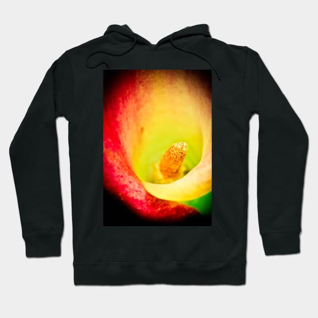 Colorful Calla, macro Hoodie by marina63